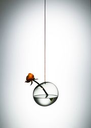 Small - Smoke (Sold Out)