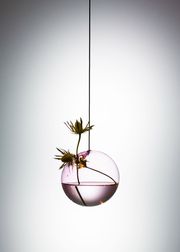 Medium - Rose (Sold Out)