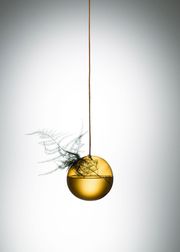 Small - Amber (Sold Out)