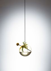 Small - Yellow (Sold Out)