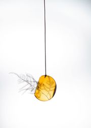 Medium - Amber (Sold Out)