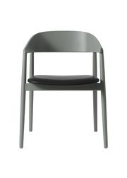 Bøg / Grå Mat Lakeret / PU Læder: Sort P2230 (Udsolgt)