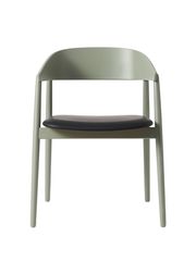 Bøg / Grøn Mat Lakeret / PU Læder: Sort 2230 (Udsolgt)