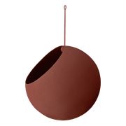 Gingerbread Large (Esaurito)