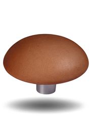 Button-Up: Cognac leather (Vendu)