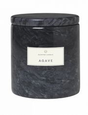 Magnet / Agave (Wyprzedane)