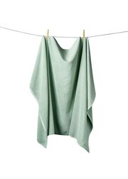 Silver Sage (Sold Out)