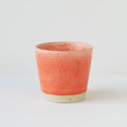 Coral (Sold Out)