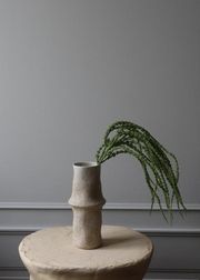 Amaranthus Caudatus Dreadlocks (Sold Out)