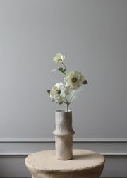 Anemone white (Sold Out)