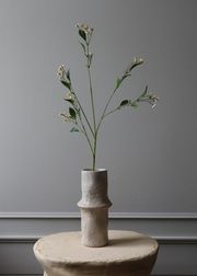 Chamomile Daisy white