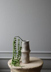 Coral Fountain Amaranthus green (Sold Out)