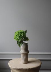 Hydrangea green (Sold Out)