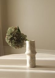 Hydrangea Pale Green (Sold Out)