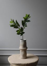 Ruscus Leaves green (Sold Out)