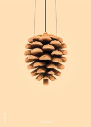 No frame (Wyprzedane)