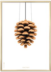 Brass coloured frame (Sold Out)