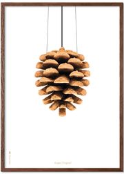 Frame in dark oak (Sold Out)