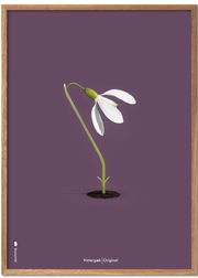 Light Oak (Ausverkauft)