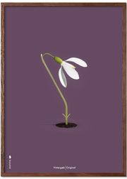 Dark Oak (Ausverkauft)