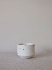 Mini dot (Ausverkauft)