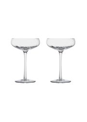 Clear 2pcs (Sold Out)