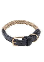 Black Nature (Esgotado)