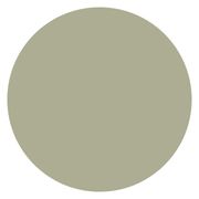 AVOCADO (Vyprodáno)