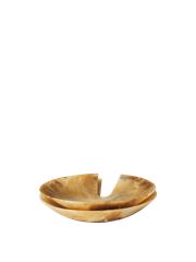 Set of 2 - Sugar Kelp