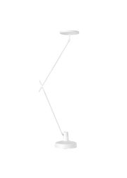 White - Large (Sold Out)