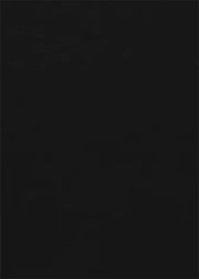 Stainless Steel / Black Leather (Uitverkocht)