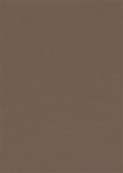 Stainless Steel / Raw Umber Leather (Uitverkocht)