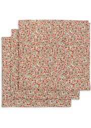 Carnations (Udsolgt)