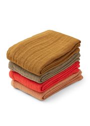 2076 - Tuscany rose multi mix (Wyprzedane)