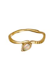 Goldplated (Sold Out)