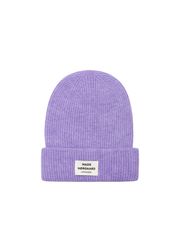 Aster Purple (Wyprzedane)