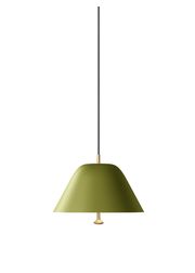 Sage Green/Brass 28 (Vendu)