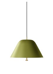 Sage Green/Brass 40 (Vendu)