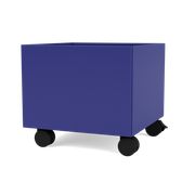 Monarch (Myyty loppuun)