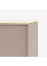 Camomile (Ausverkauft)