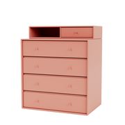 Rhubarb (Vyprodáno)