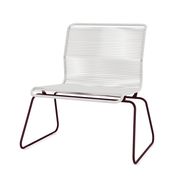 Black red / Duke (Sold Out)