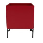 Beetroot (Vyprodáno)