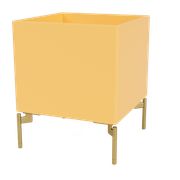 Acacia (Ausverkauft)