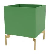 Parsley (Ausverkauft)