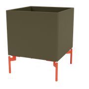 Oregano (Vyprodáno)