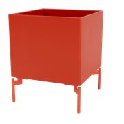 Rosehip (Vyprodáno)