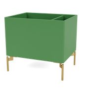 Parsley (Vyprodáno)