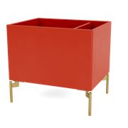 Rosehip (Vyprodáno)