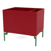 Beetroot (Ausverkauft)